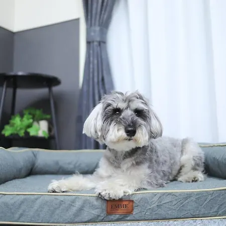 ペットと泊まれる宿 Doggoinn Niigata Esterno foto