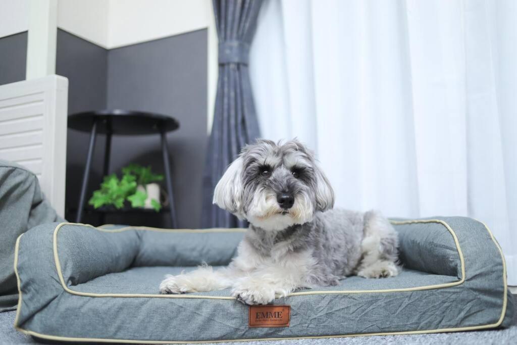 Apartment ペットと泊まれる宿 Doggoinn Niigata